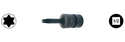 SD power socket Torx driver (TX)