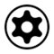 Torx Tamper Resistant TR